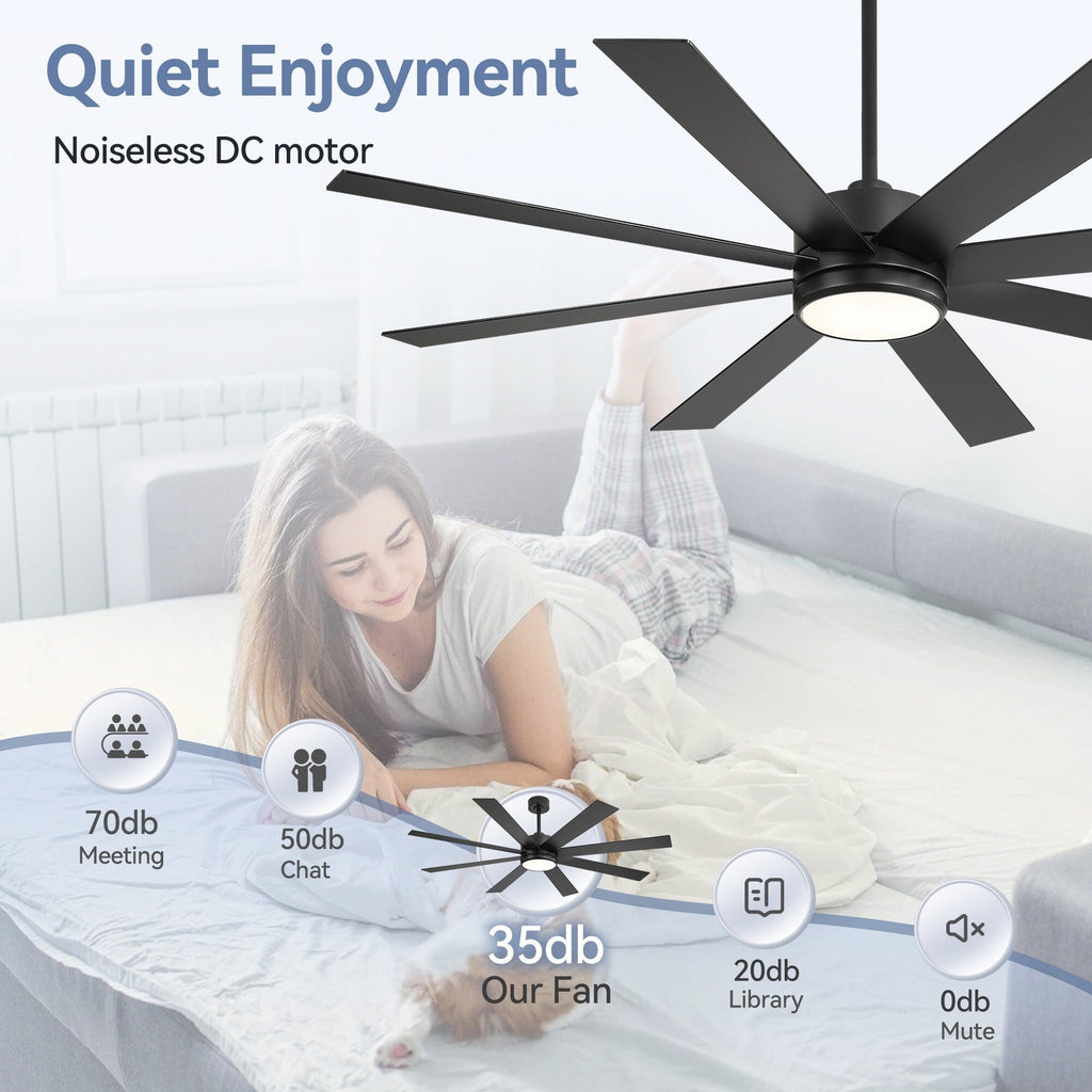 Ventilateur de plafond LED noir à 8 pales de 65 pouces avec éclairage et télécommande