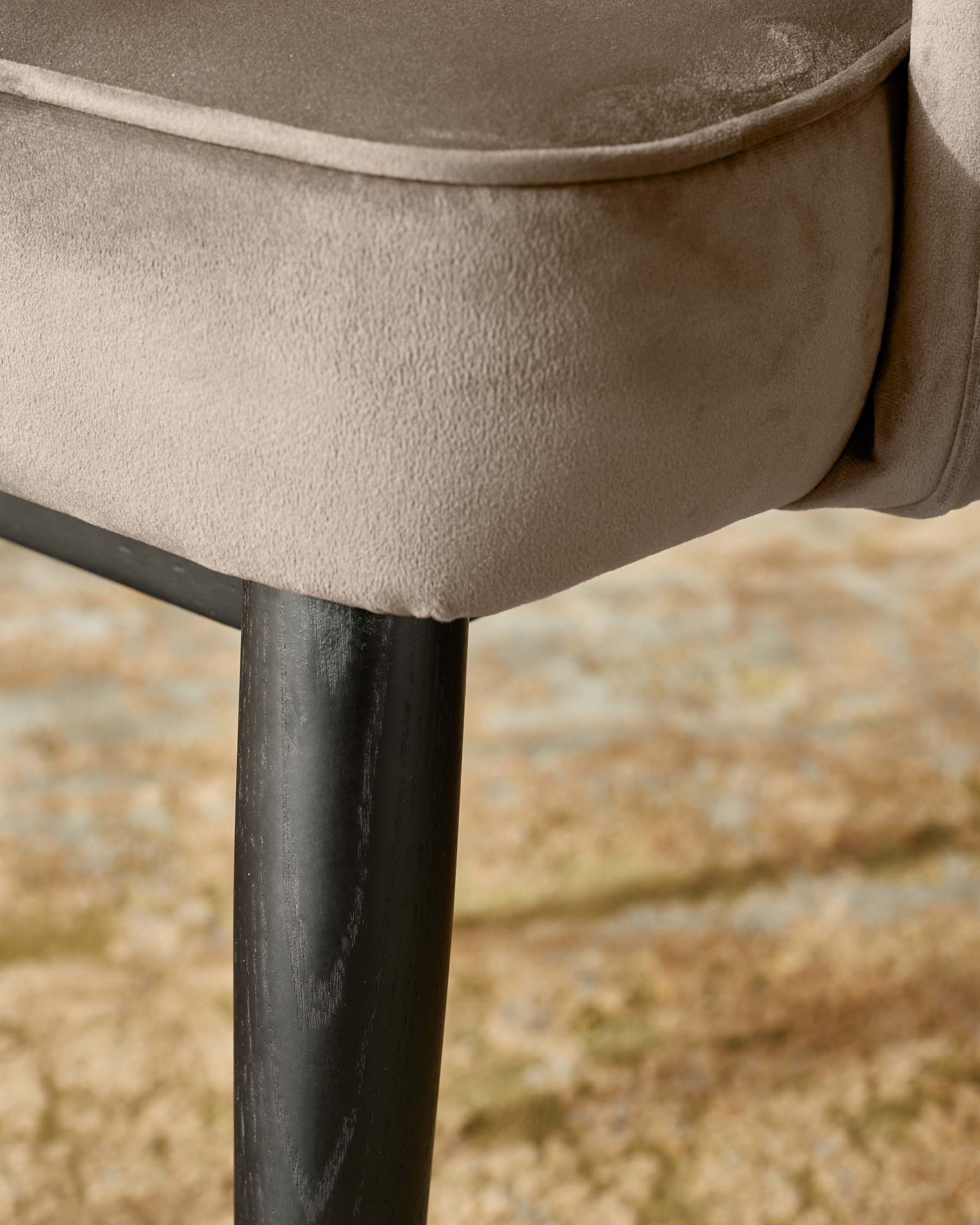 Fauteuil de salle à manger Clover en velours champagne et laiton brossé