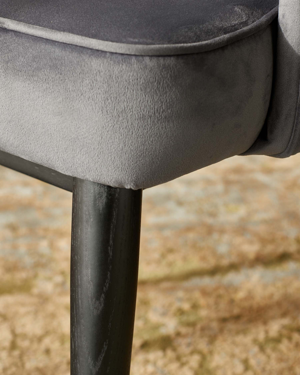 Fauteuil de salle à manger Clover en velours gris foncé et laiton