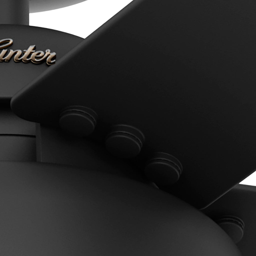 Ventilateur de plafond Hunter 52 Autumn Breeze II, éclairage LED intérieur/extérieur et télécommande portable - Style industriel, transitionnel, moderne, en cage